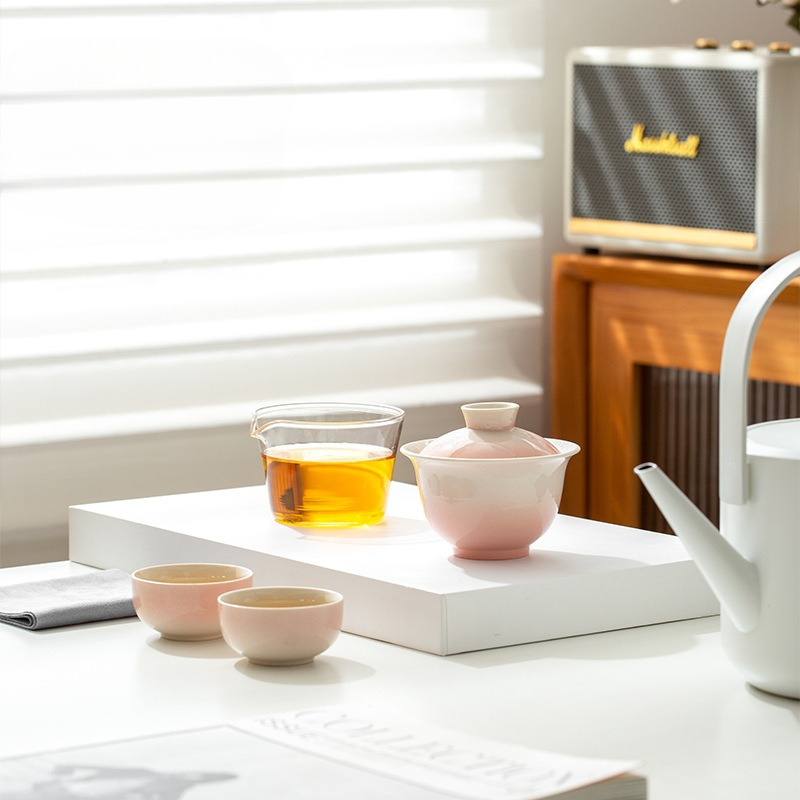 Plant Ash Glaze Gradient Trave - Portable Travel Kettle 评论和价格
